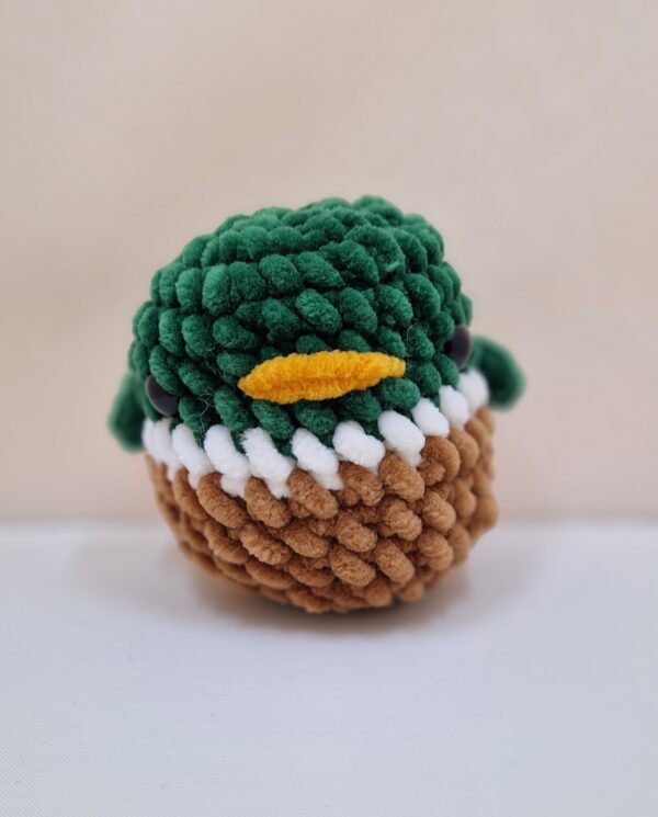 Mallard Duck